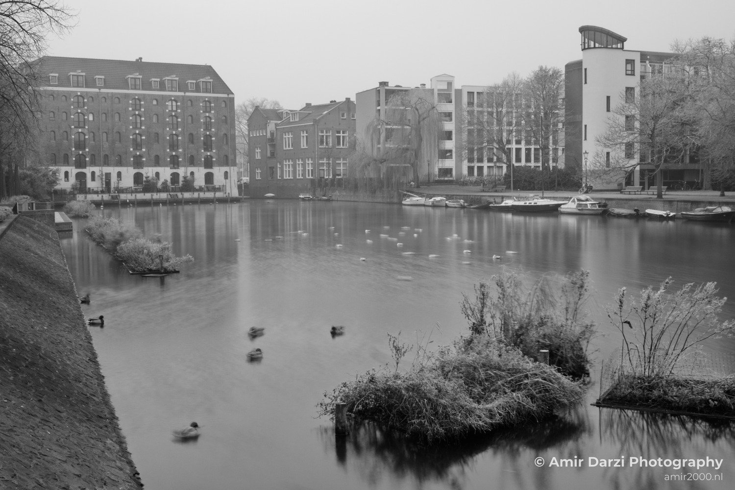 Amsterdam winter icy day fog Netherlands Cityscape in Amsterdam Netherlands Photo 3