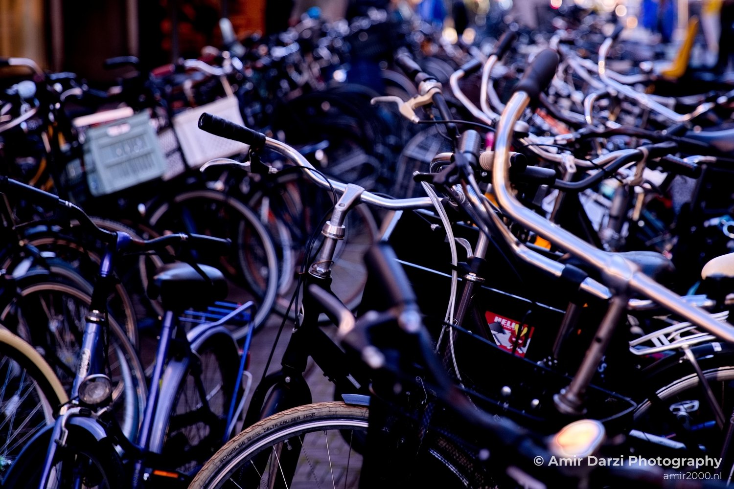 Cityscape urban street The Hague Den Haag Netherlands Photo 8