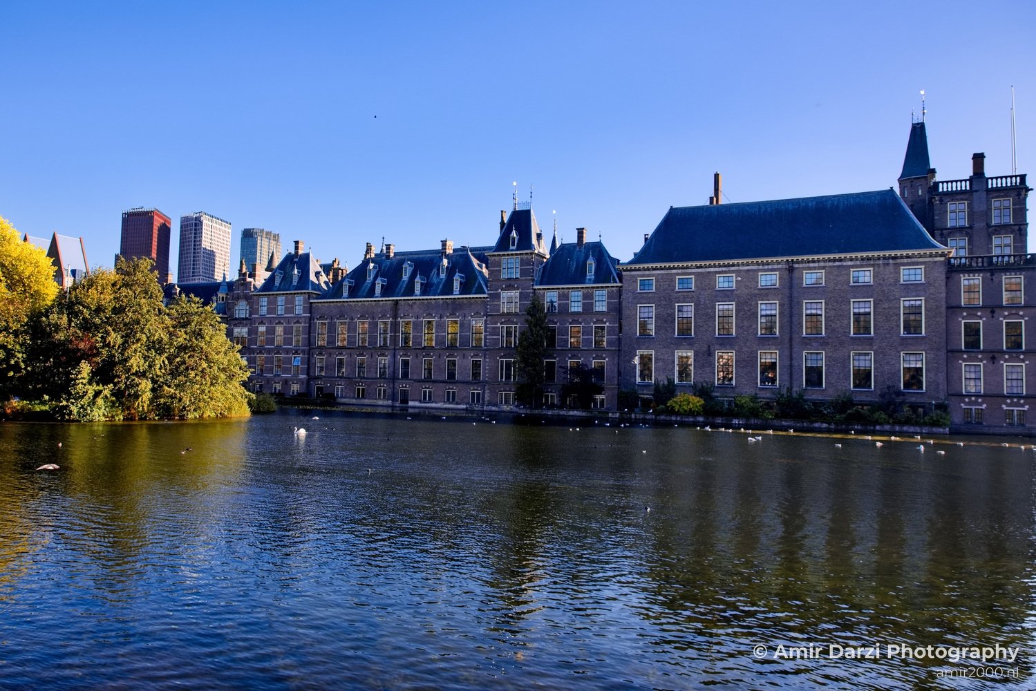 Cityscape urban street The Hague Den Haag Netherlands Photo 16