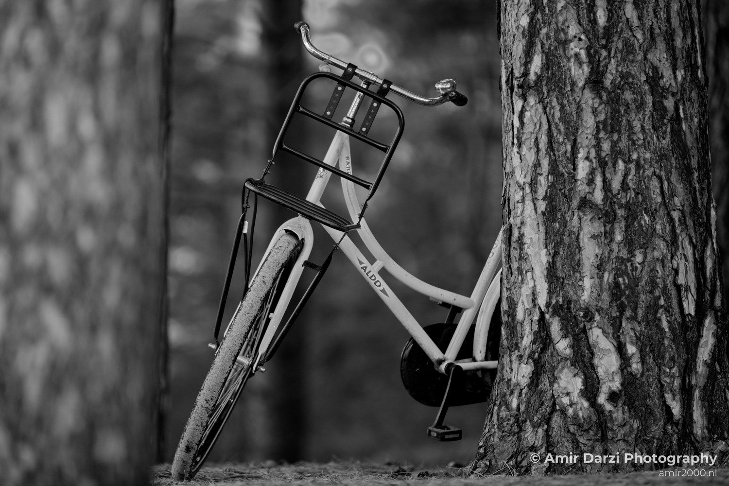 Bicycle in the woods Oosterplas Bloemendaal Miscellaneous in General Photography Collection