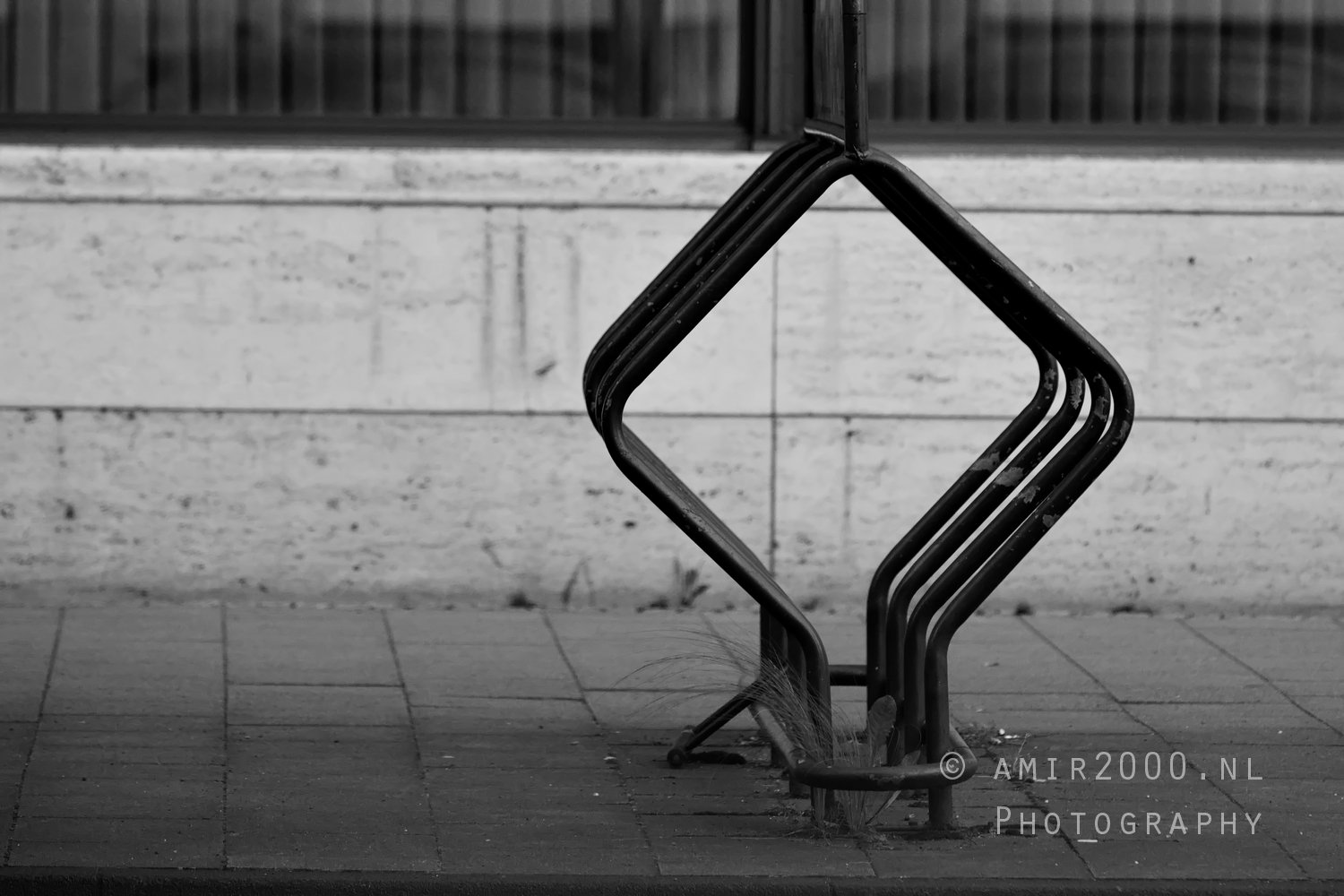 Bicycle stand transportation potography Cologne Germany Miscellaneous
