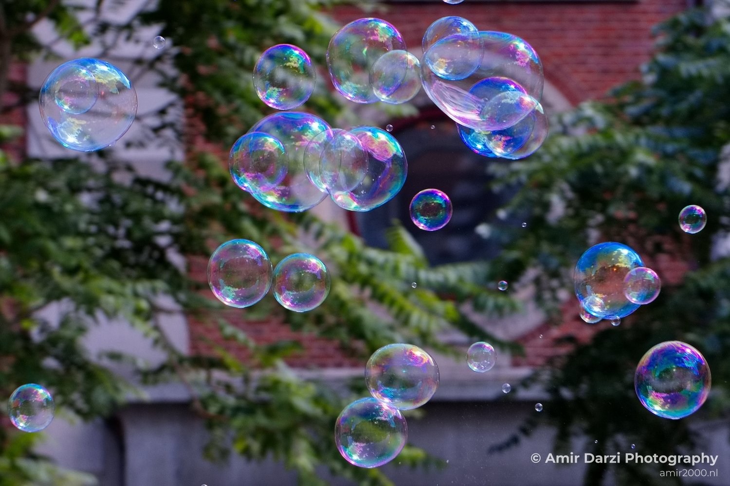 Soap bubbles water hollow sphere General in General Photography Collection from miscellaneous series Photo 9