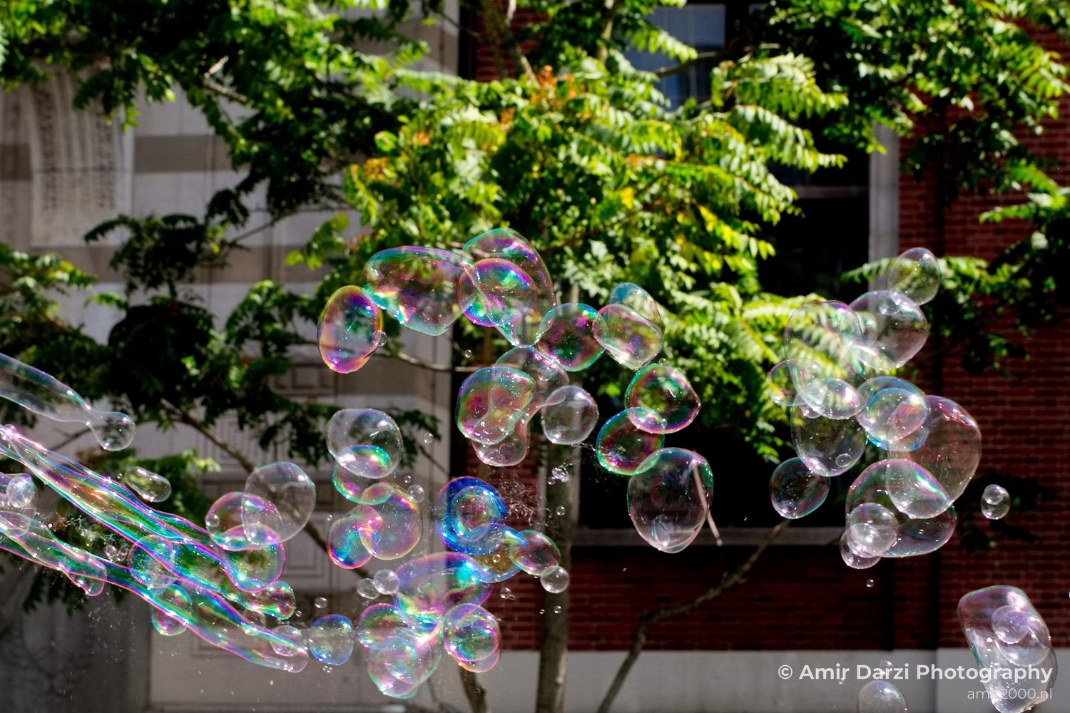 Soap bubbles water hollow sphere General in General Photography Collection from miscellaneous series Photo 14