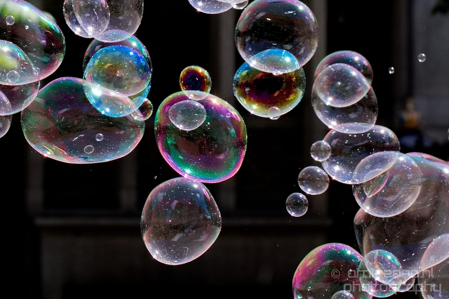 Soap bubbles water hollow sphere General in General Photography Collection from miscellaneous series Photo 16