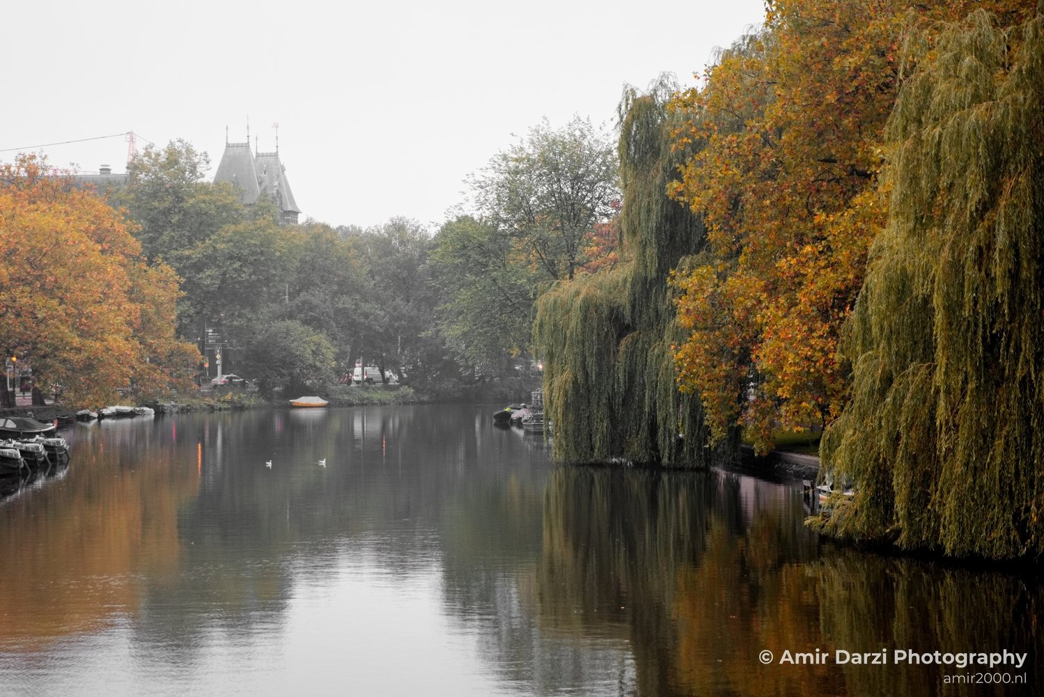 Autumn north holland landscape nature nederland in Noord-Holland Netherlands Photo 50