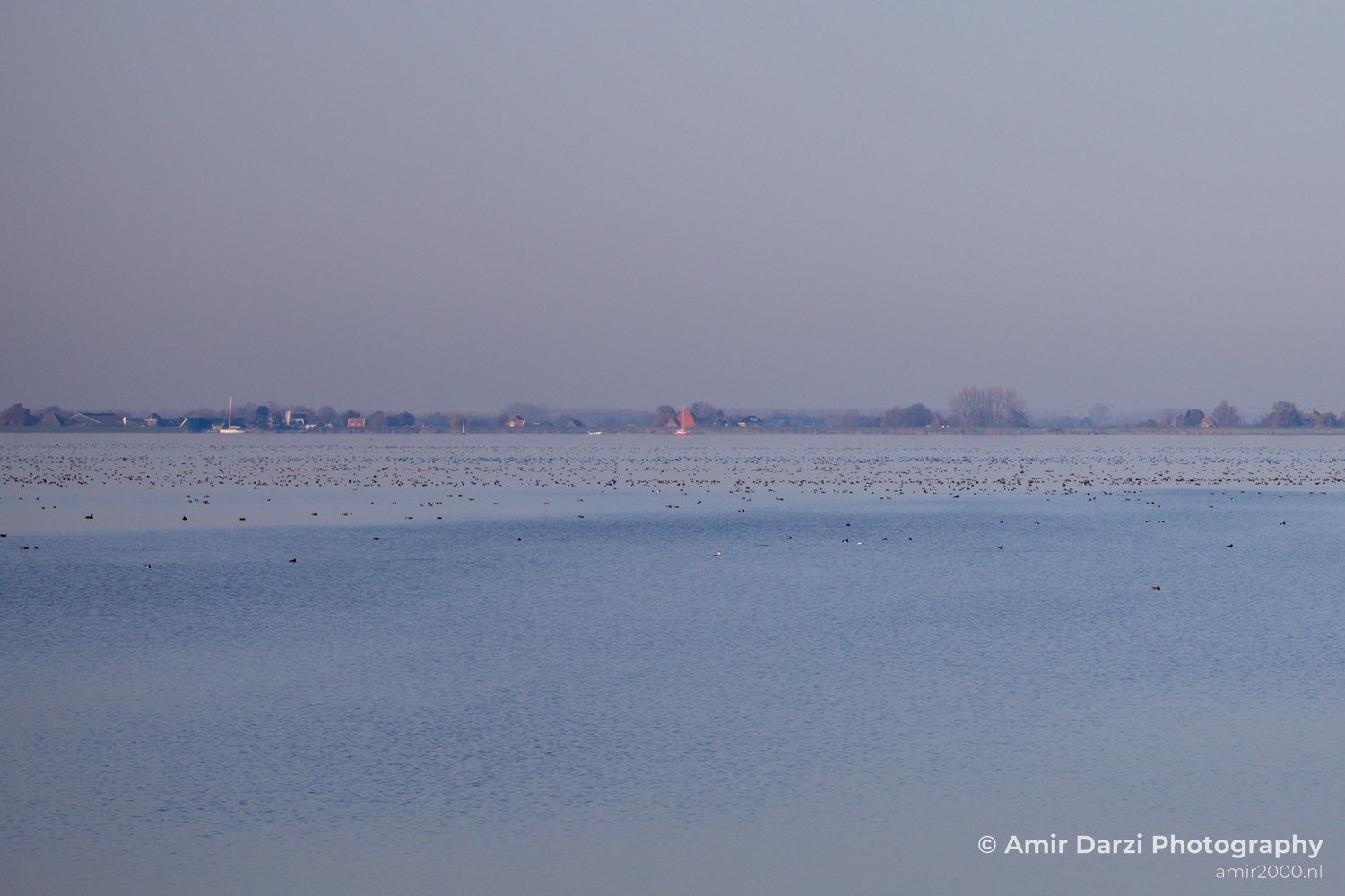 Autumn north holland landscape nature nederland in Noord-Holland Netherlands Photo 131
