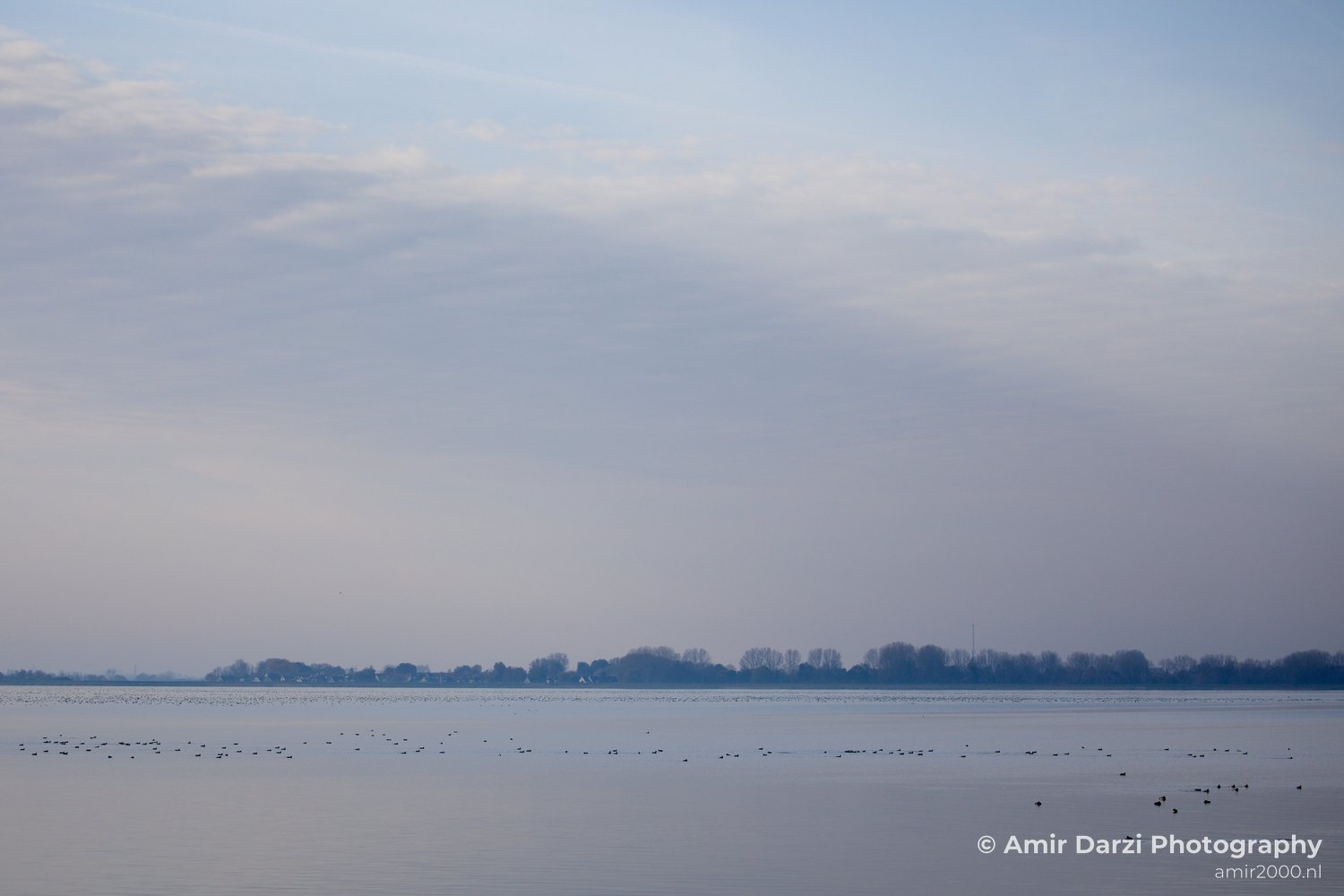 Autumn north holland landscape nature nederland in Noord-Holland Netherlands Photo 133
