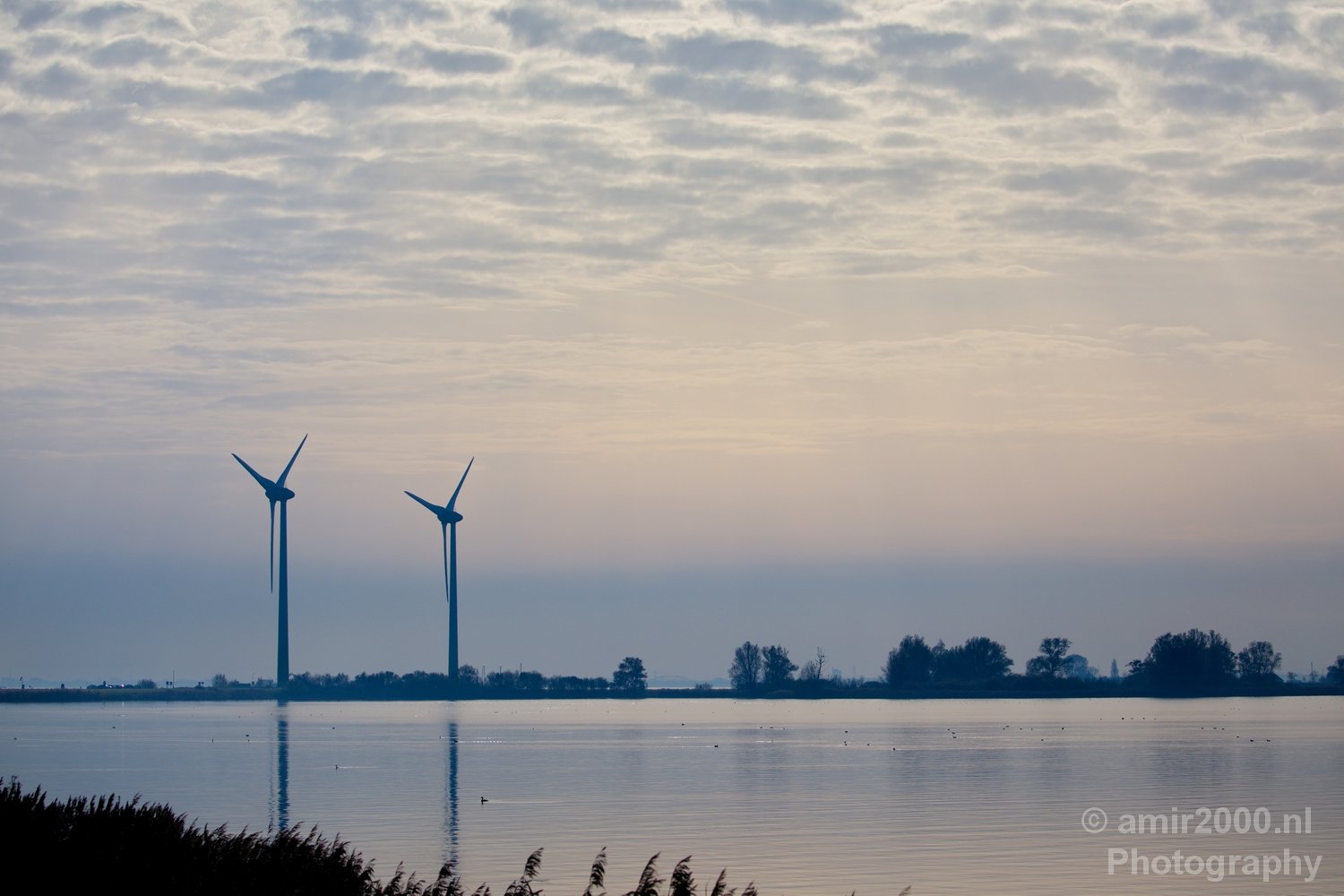 Autumn north holland landscape nature nederland in Noord-Holland Netherlands Photo 135
