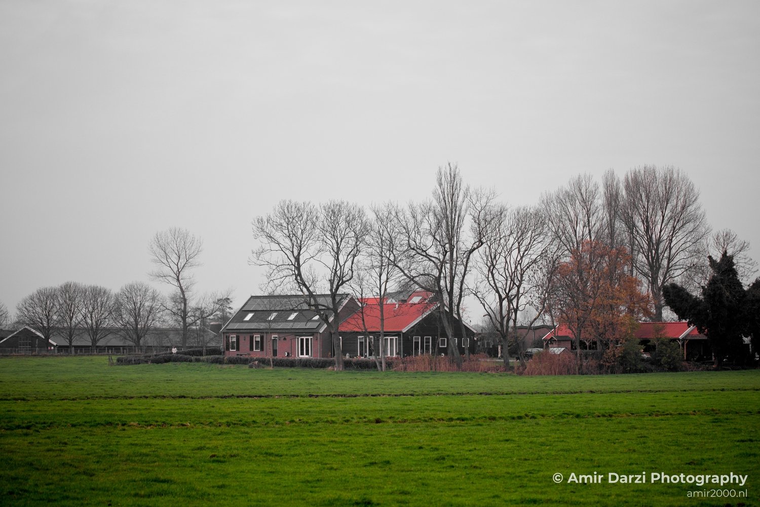 Autumn north holland landscape nature nederland in Noord-Holland Netherlands Photo 168