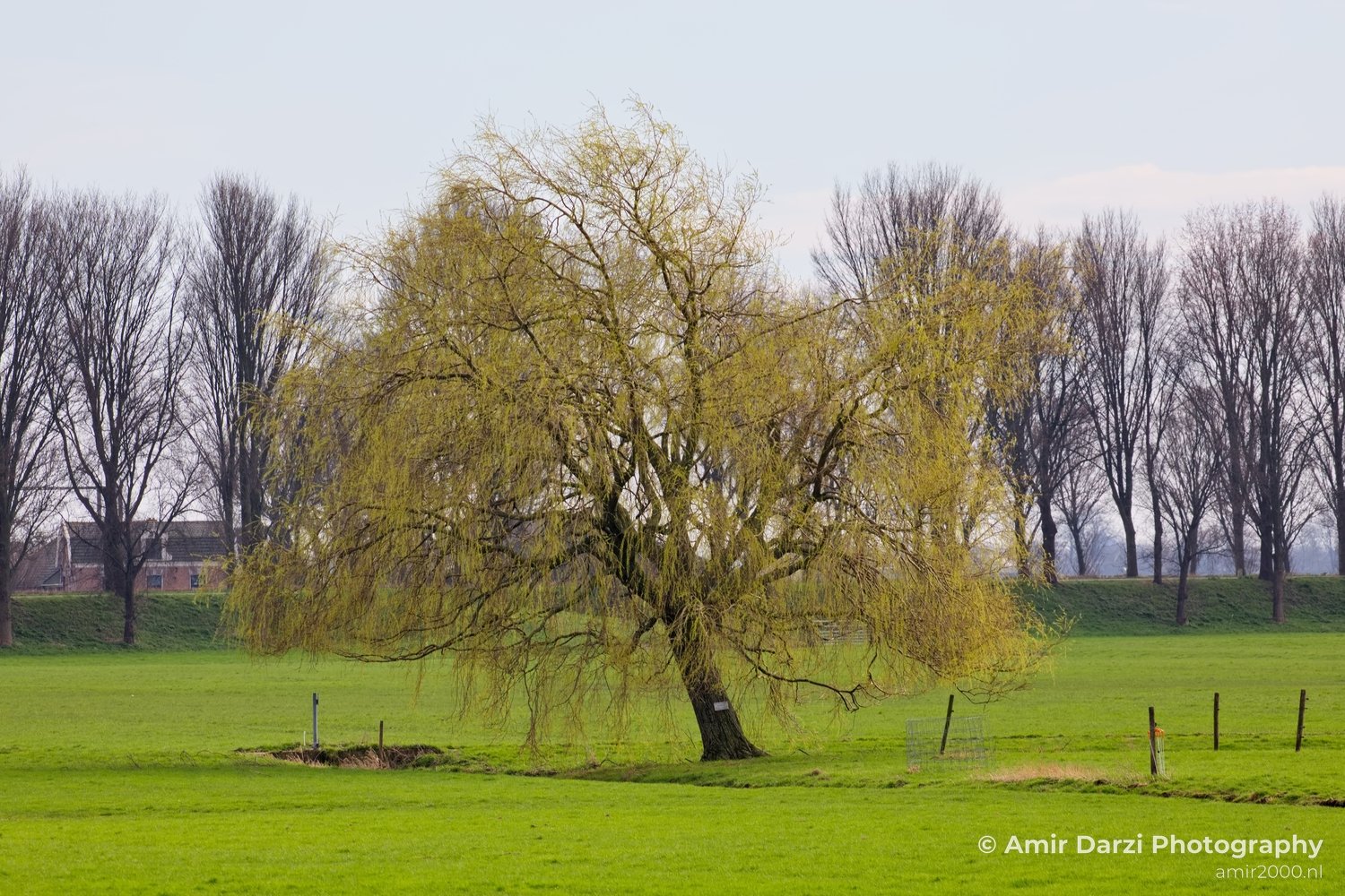 Broekzijdse Molen Driemond between Utrecht and- North Holland landscape city nederland Netherlands in Utrecht Netherlands Photo 2