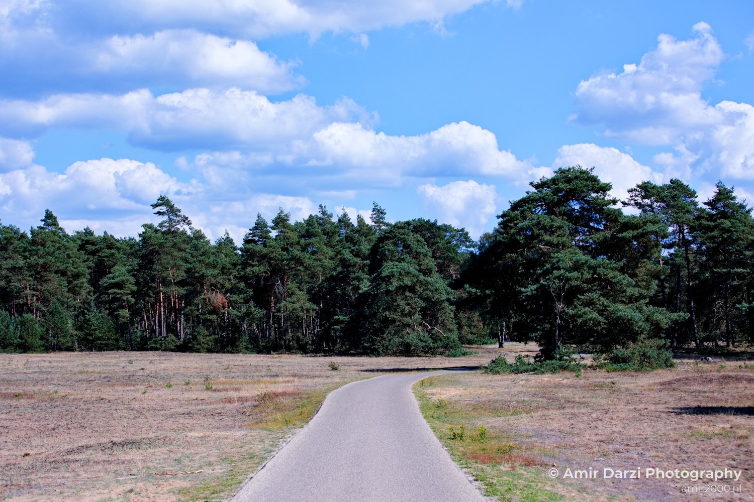 De Hoge Veluwe National Park Gelderland Nederland Dutch nature landscape in De Hoge Veluwe Gelderland Netherlands Photo 4