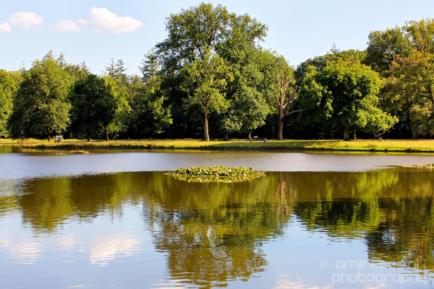 De Hoge Veluwe National Park Gelderland Nederland Dutch nature landscape in De Hoge Veluwe Gelderland Netherlands Photo 19