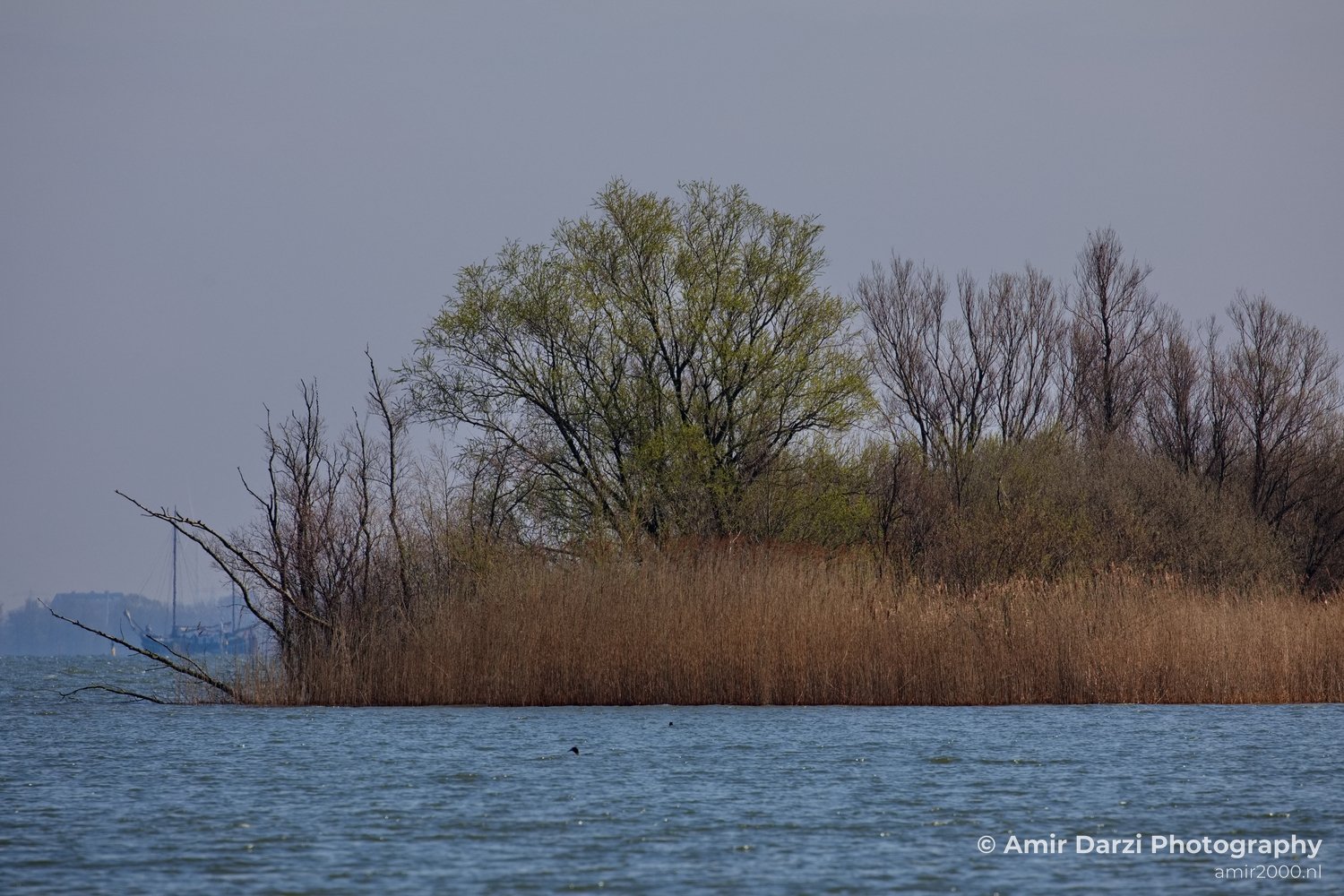 Dutch landscape nederlandse landschap spring lente nature in Nature Landscape Netherlands Photo 123