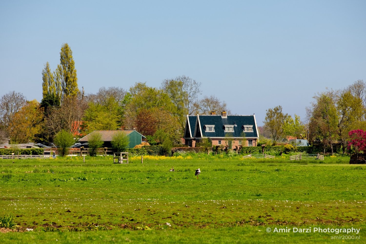 Dutch landscape nederlandse landschap spring lente nature in Nature Landscape Netherlands Photo 144