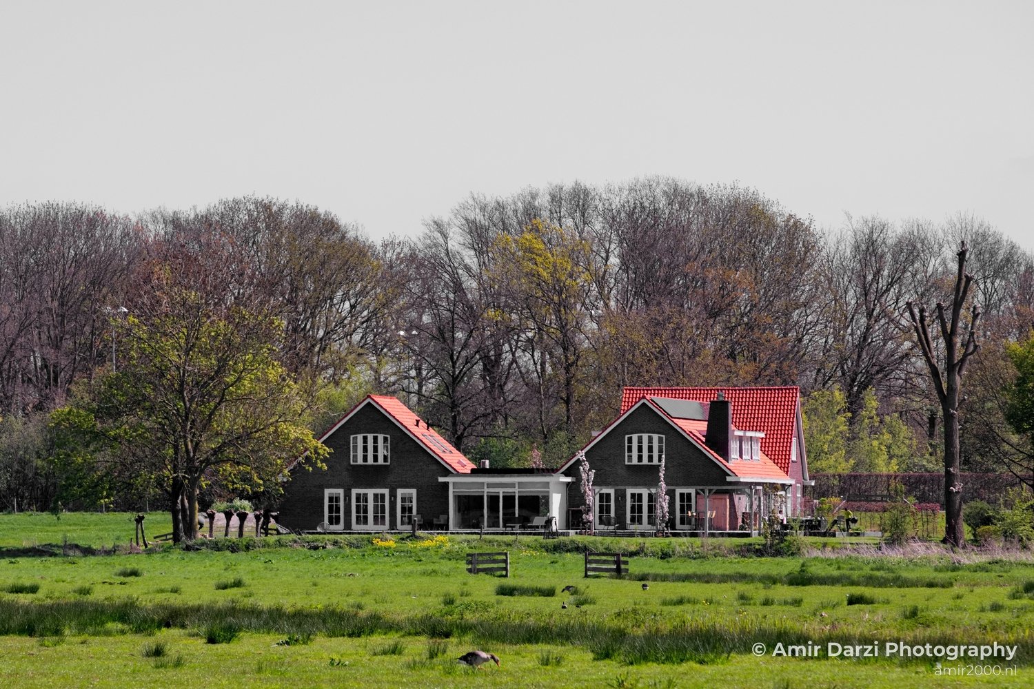 Dutch landscape nederlandse landschap spring lente nature in Nature Landscape Netherlands Photo 147
