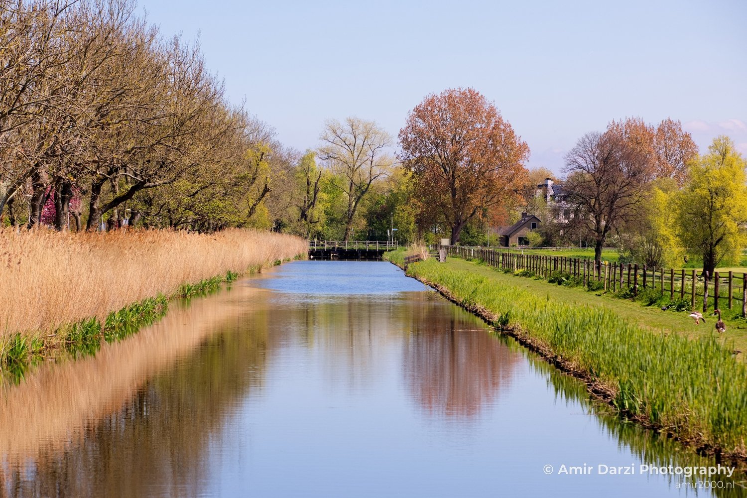 Dutch landscape nederlandse landschap spring lente nature in Nature Landscape Netherlands Photo 148