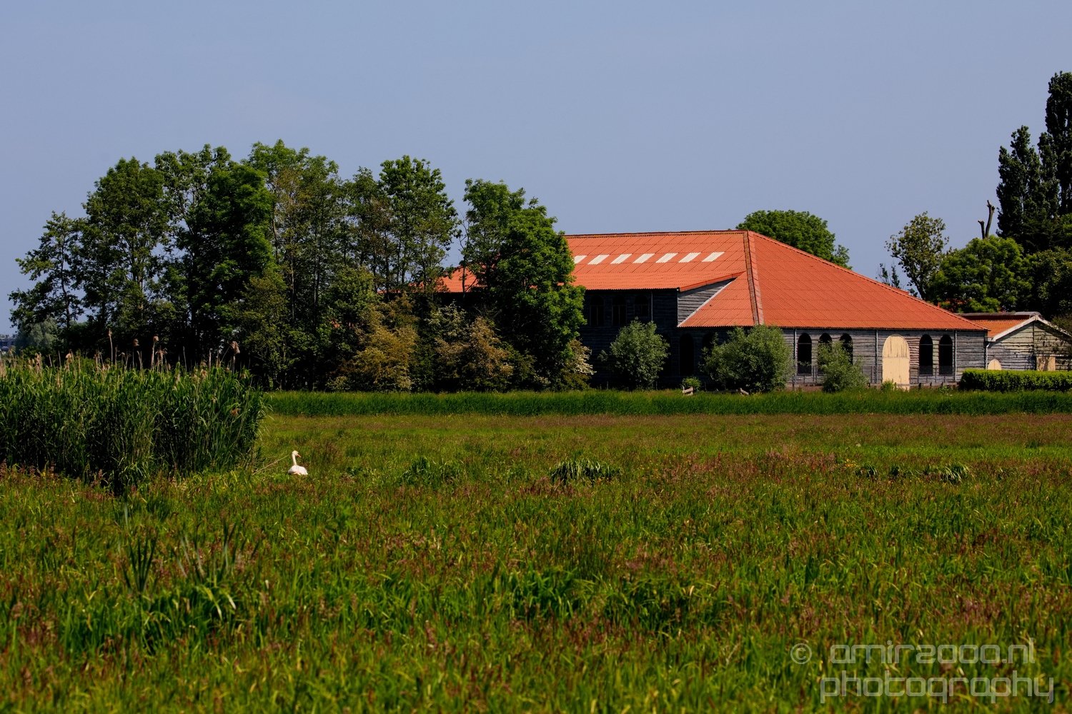 Dutch landscape nederlandse landschap spring lente nature in Nature Landscape Netherlands Photo 182