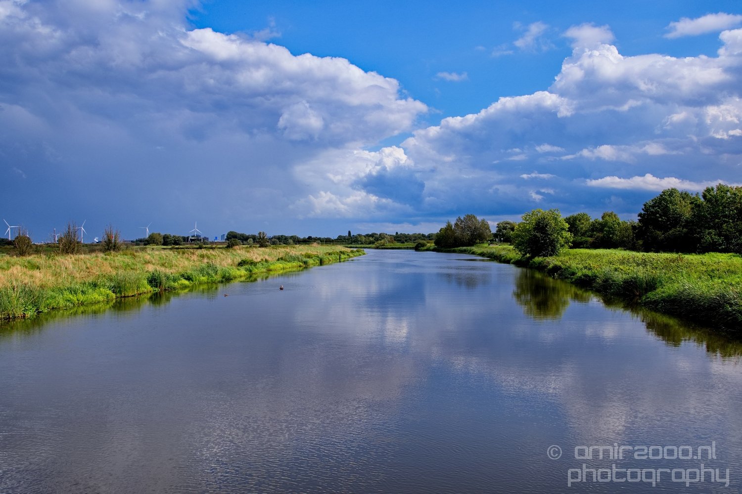 Dutch landscape nederlandse landschap summer Nature in Nature Landscape Netherlands Photo 35