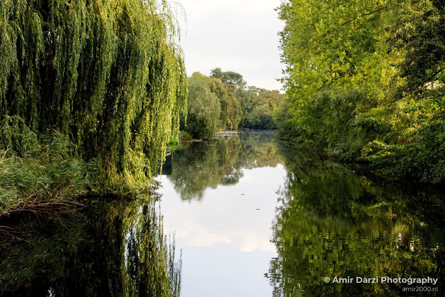 Dutch landscape nederlandse landschap summer Nature in Nature Landscape Netherlands Photo 45