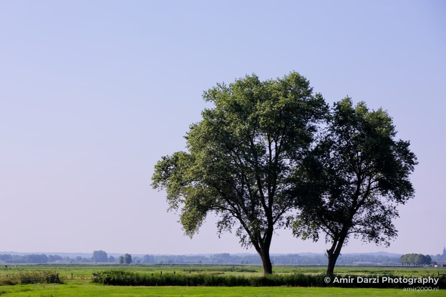 Dutch landscape nederlandse landschap summer Nature in Nature Landscape Netherlands Photo 49
