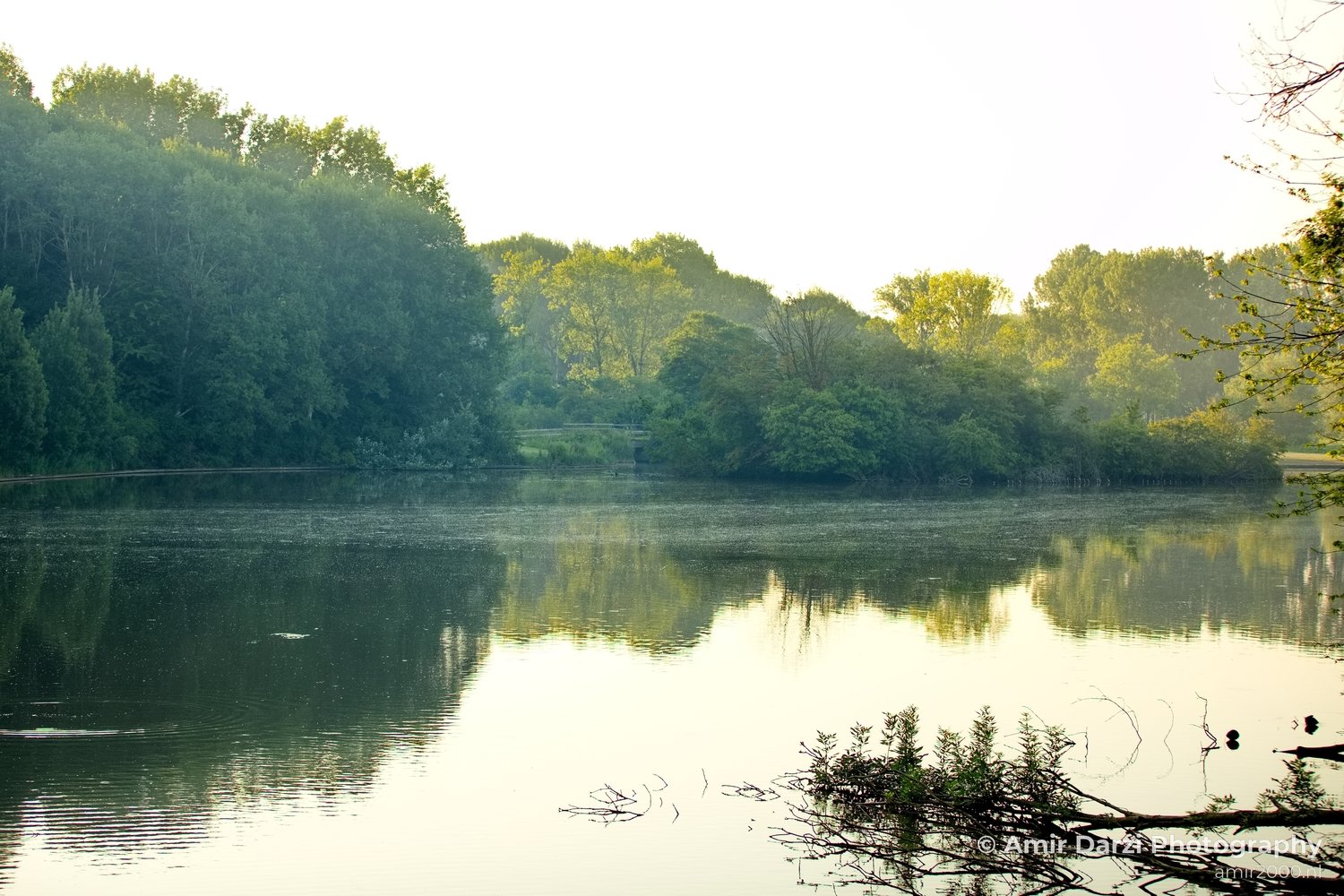 Dutch landscape nederlandse landschap summer Nature in Nature Landscape Netherlands Photo 98