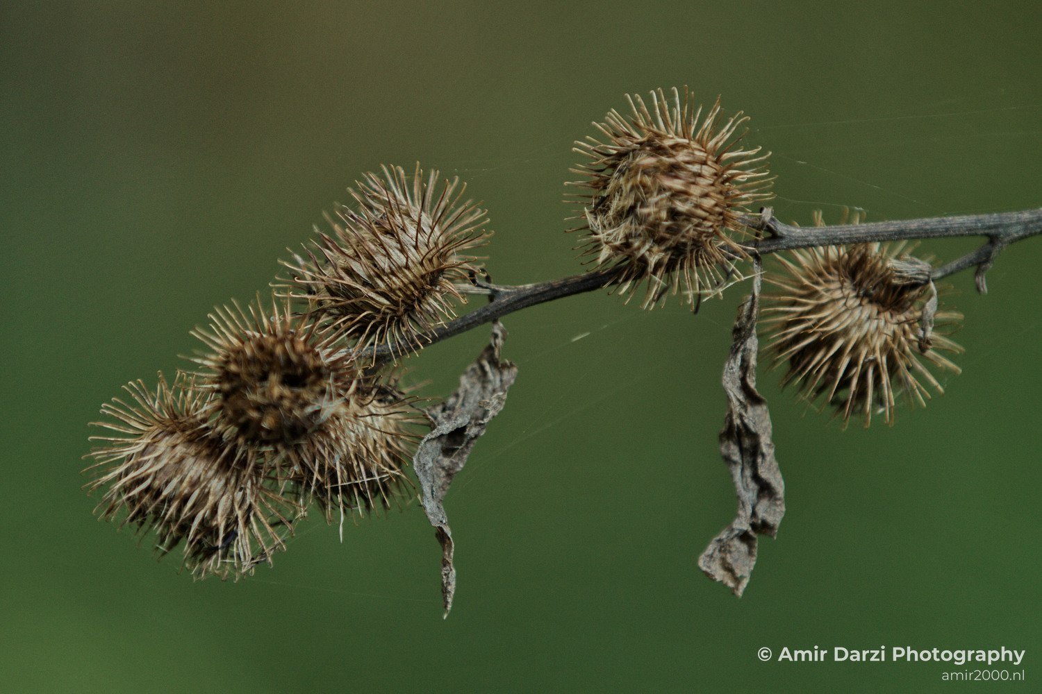 Fall colors Nature Landscape in Nature Landscape Netherlands Photo 5
