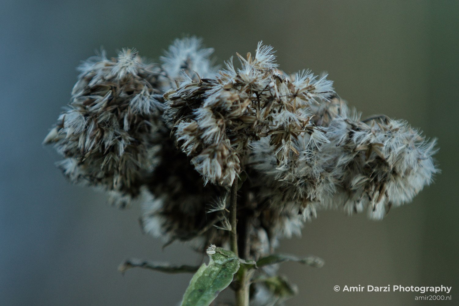 Fall colors Nature Landscape in Nature Landscape Netherlands Photo 16