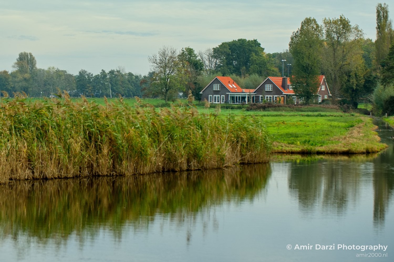 Fall scenery Autumn in Amsterdam nature Netherlands Landscape in Amsterdam Netherlands Photo 26