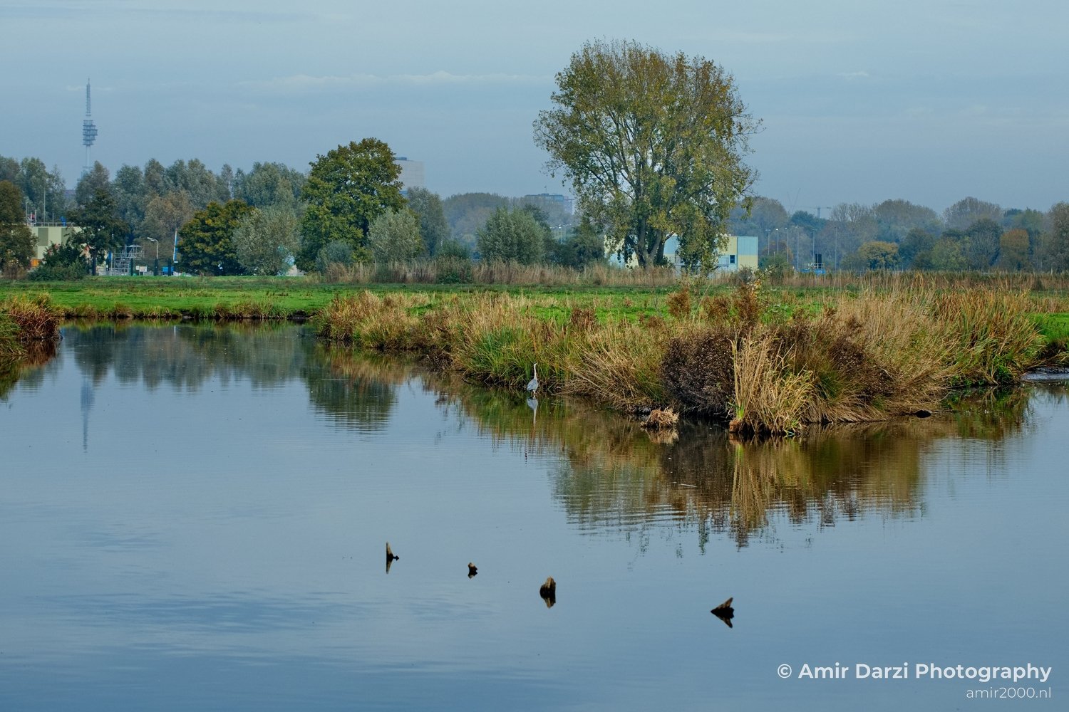 Fall scenery Autumn in Amsterdam nature Netherlands Landscape in Amsterdam Netherlands Photo 27