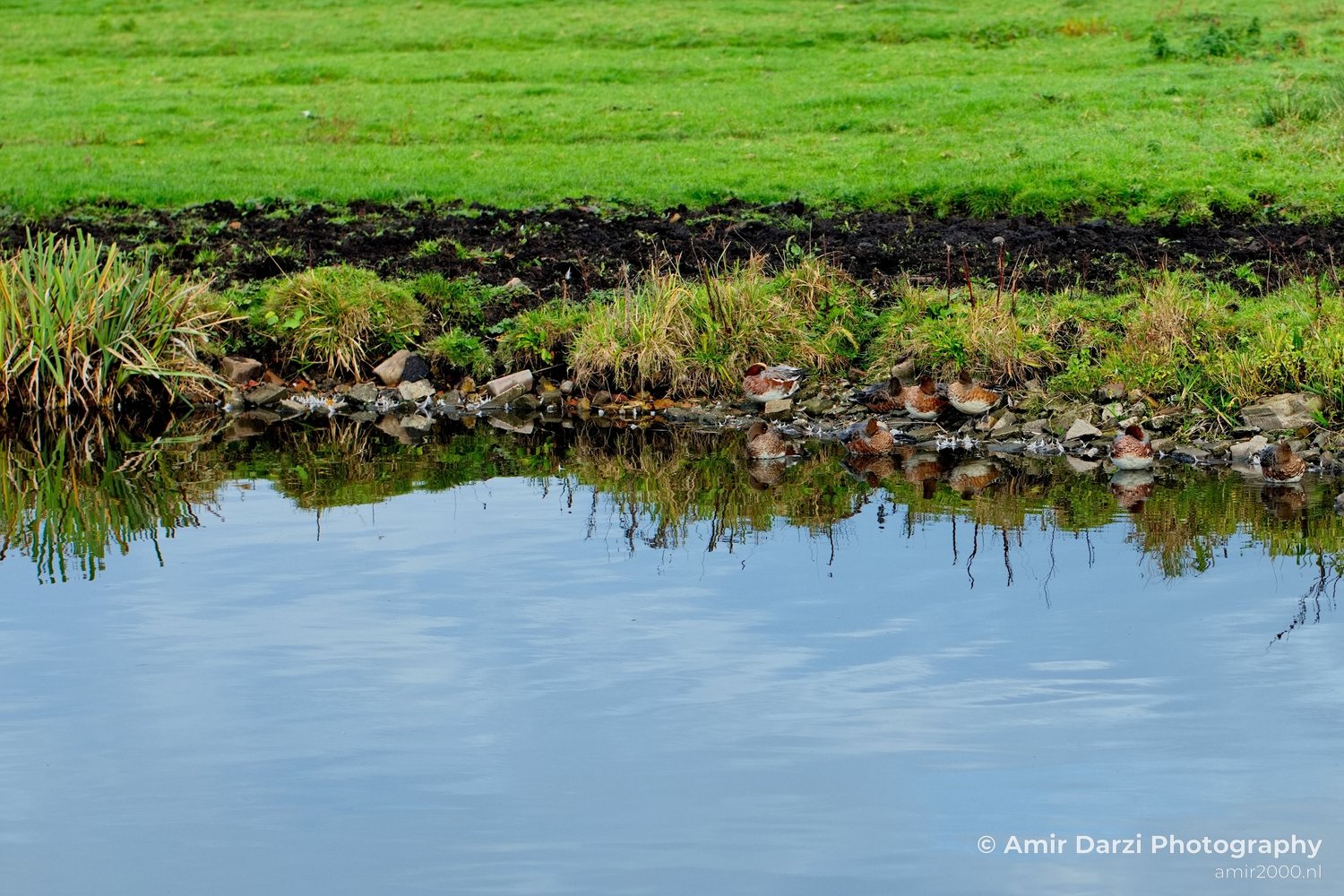 Fall scenery Autumn in Amsterdam nature Netherlands Landscape in Amsterdam Netherlands Photo 28
