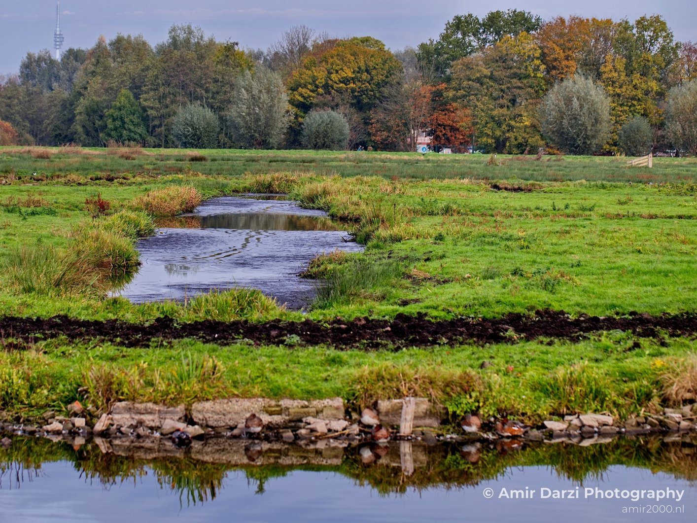 Fall scenery Autumn in Amsterdam nature Netherlands Landscape in Amsterdam Netherlands Photo 29