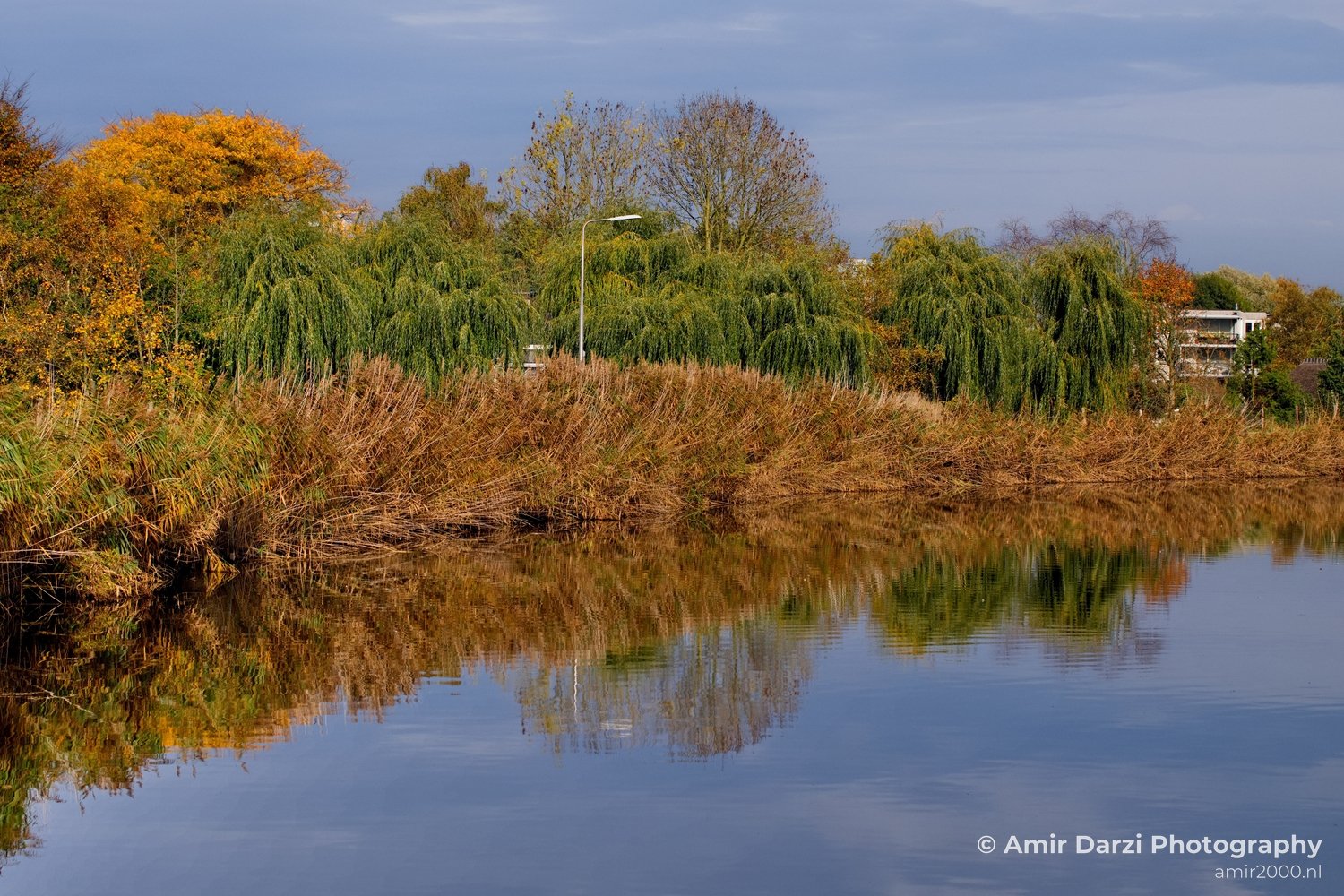 Fall scenery Autumn in Amsterdam nature Netherlands Landscape in Amsterdam Netherlands Photo 31