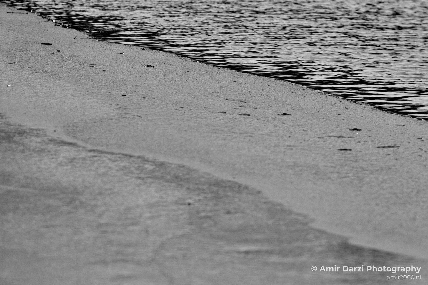 Ice winter scenery Amsterdam nature Netherlands Landscape in Amsterdam Netherlands Photo 1