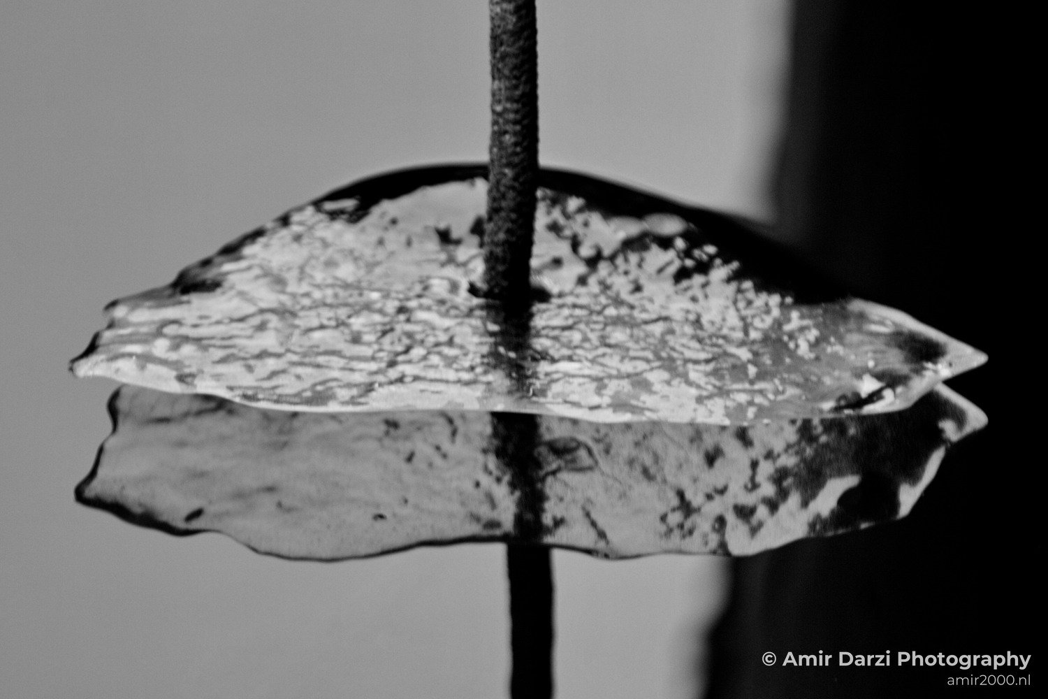 Ice winter scenery Amsterdam nature Netherlands Landscape in Amsterdam Netherlands Photo 14