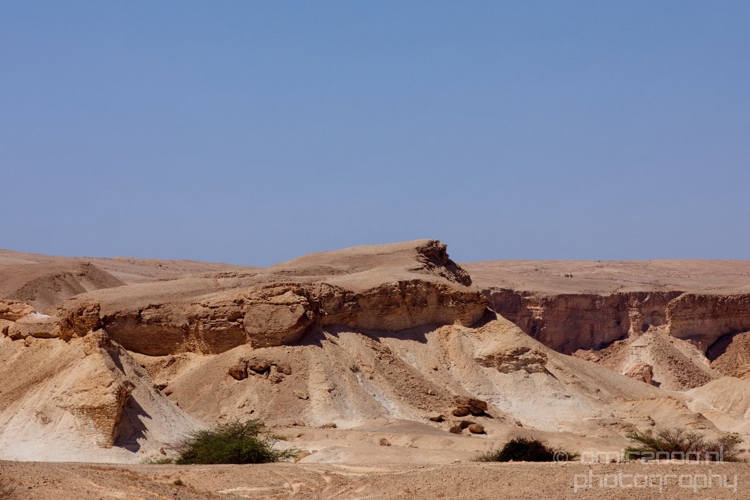 Landscape Nature Arava and Negev desert scenery Israel in Negev Israel Photo 115