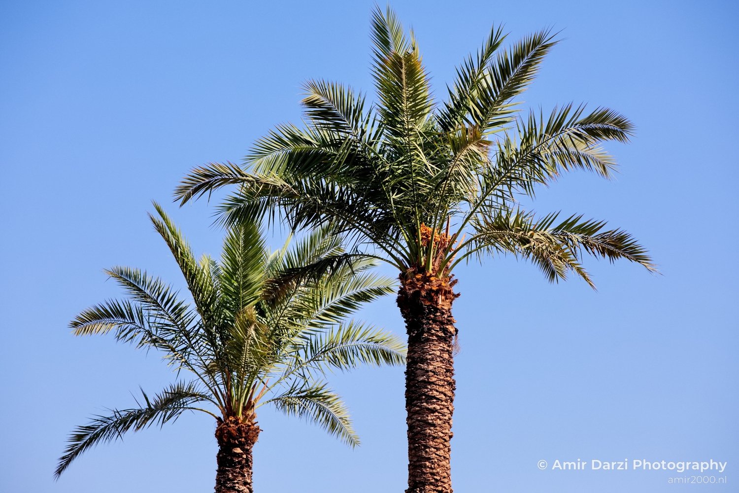 Landscape Nature Dead Sea Israel Desert Photo 62