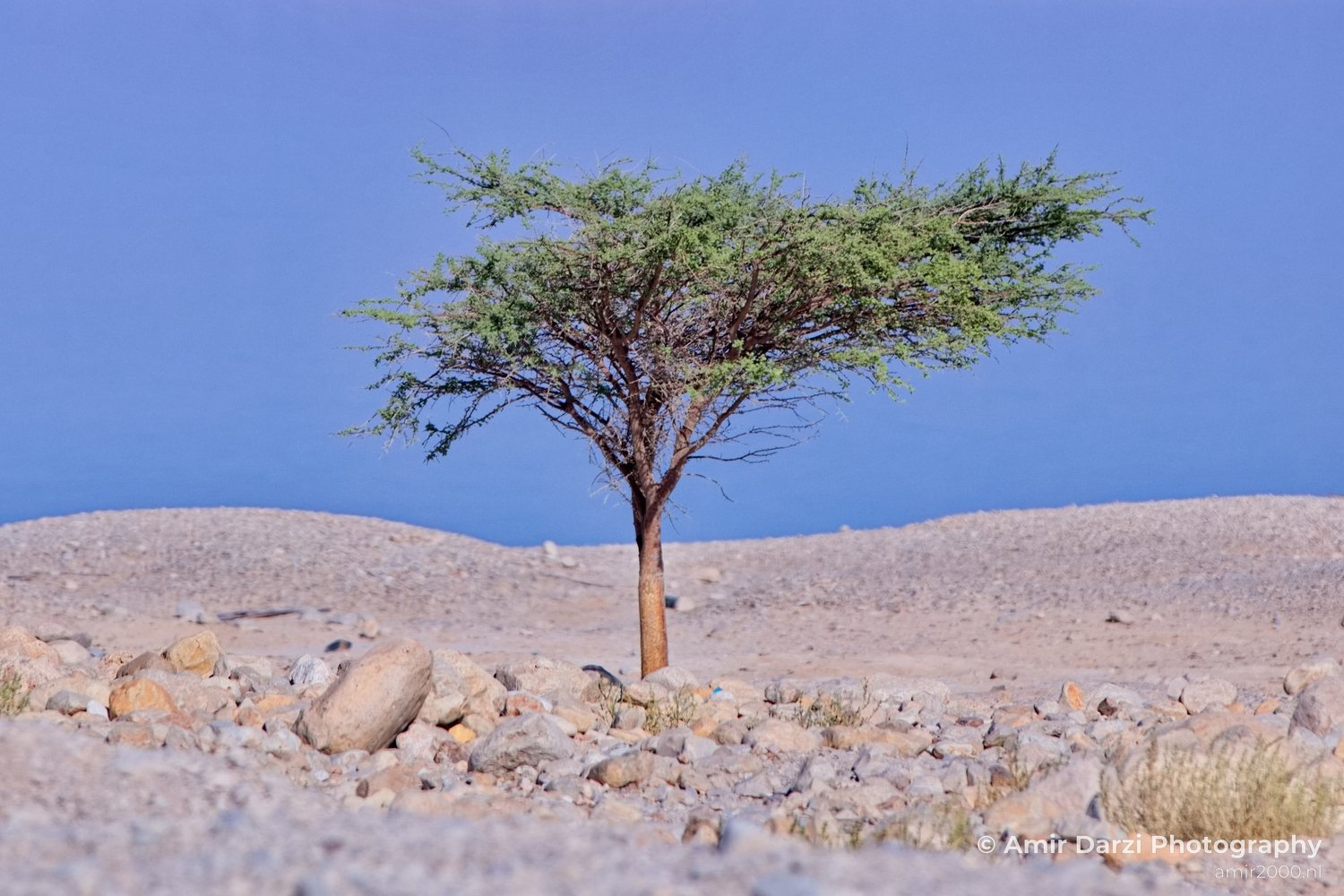 Landscape Nature Dead Sea Israel Desert Photo 103