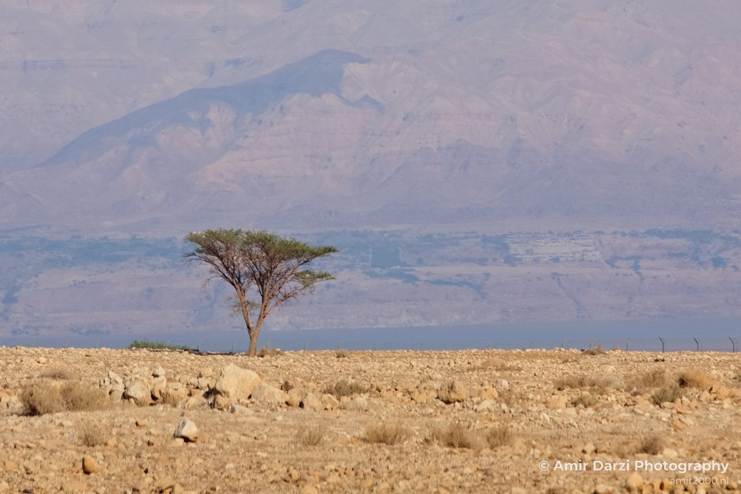 Landscape Nature Dead Sea Israel Desert Photo 119