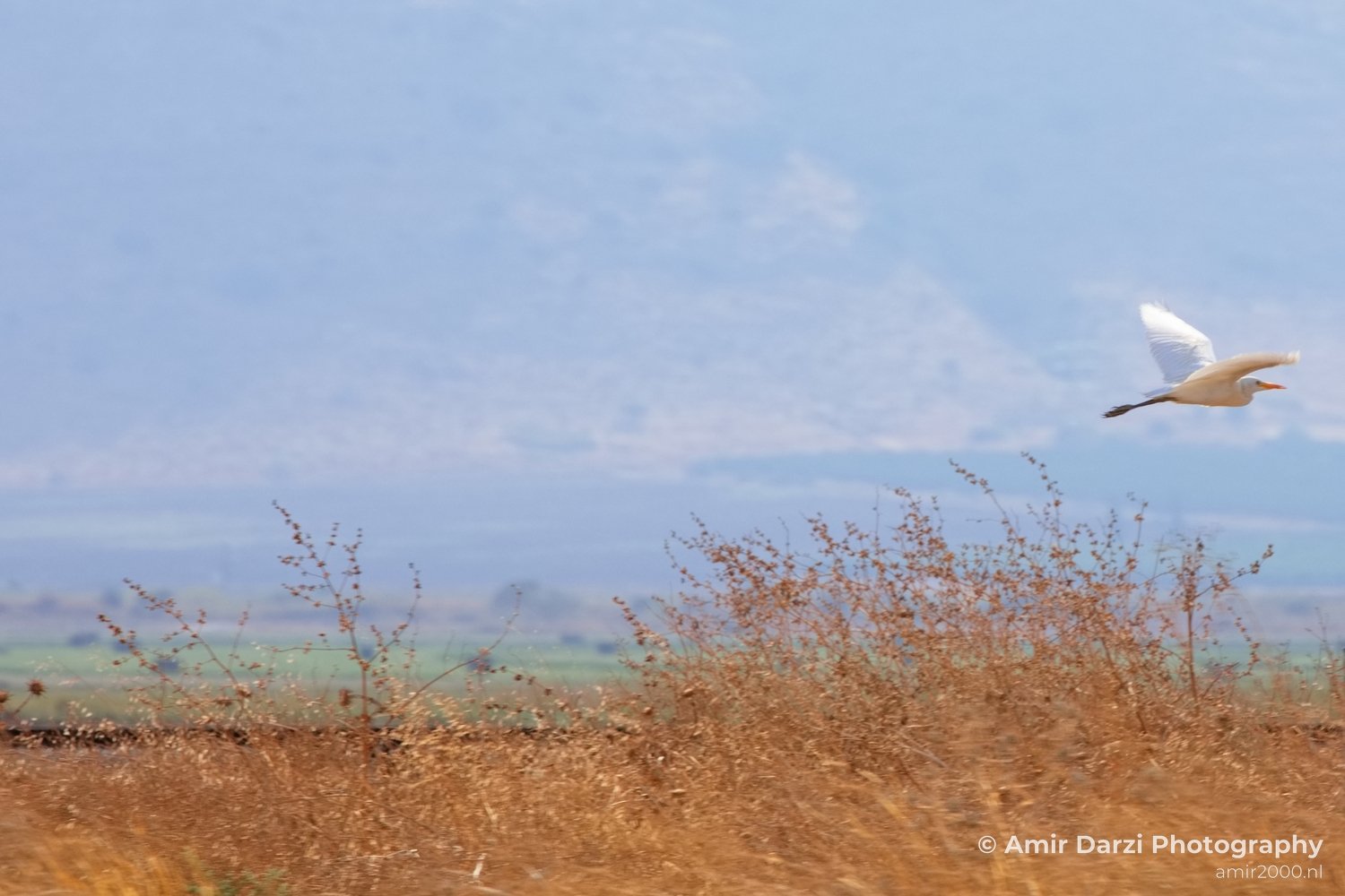 Landscape Nature north of Israel in Nature Landscape Israel Photo 53