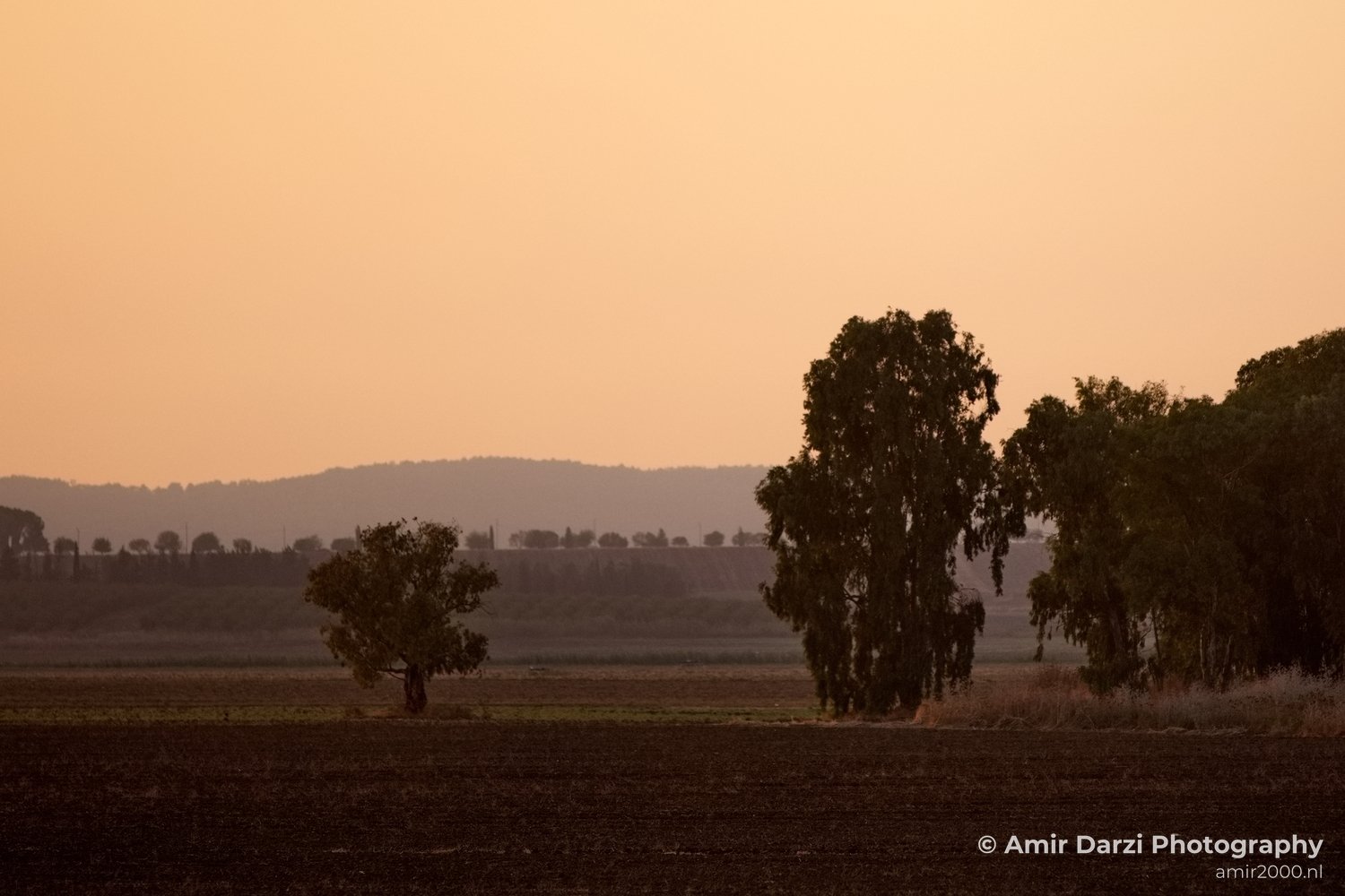 Landscape Nature north of Israel in Nature Landscape Israel Photo 55