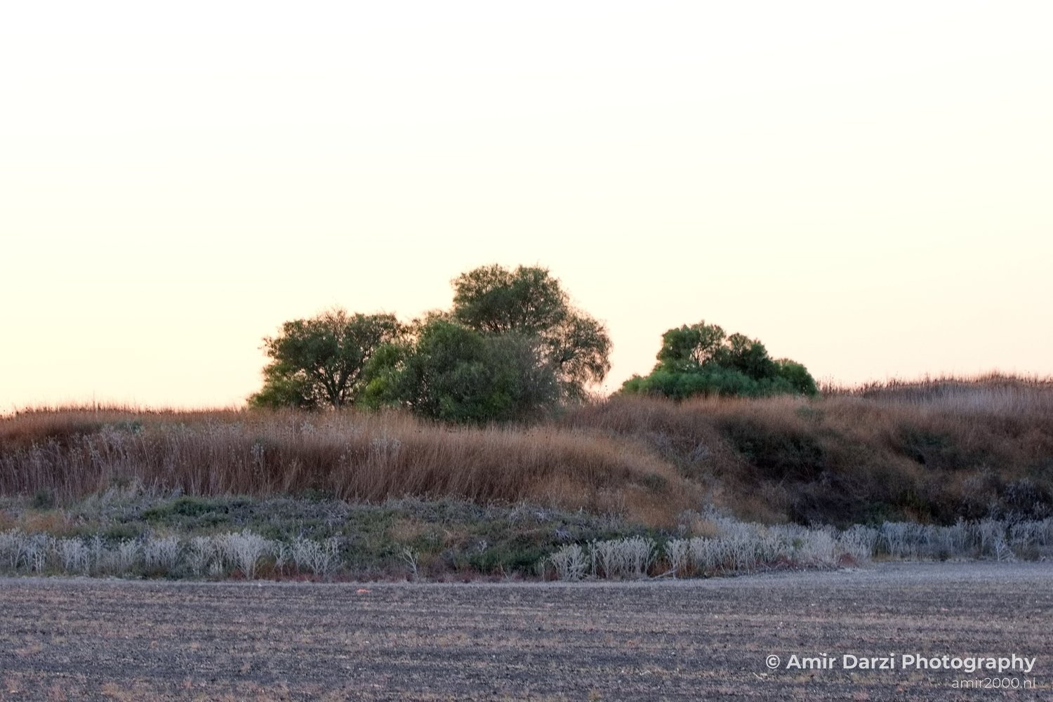 Landscape Nature north of Israel in Nature Landscape Israel Photo 57
