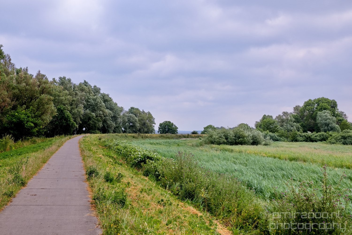 Muiderslot Muiden north holland landscape nederland Netherlands in Muiden Netherlands from nature series Photo 24