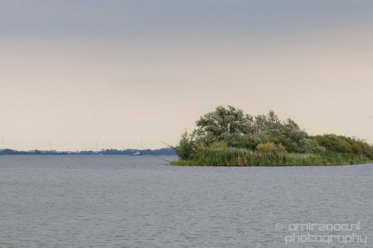 Muiderslot Muiden north holland landscape nederland Netherlands in Muiden Netherlands from nature series Photo 39