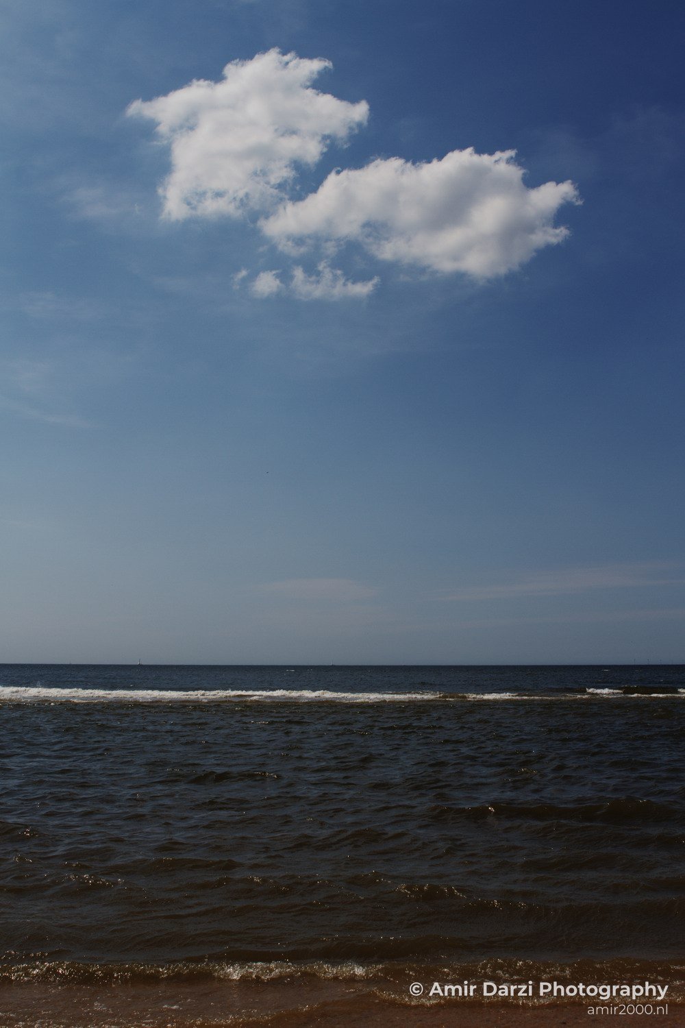 North-Holland North Sea Nature Landscape in North Sea Netherlands Photo 11