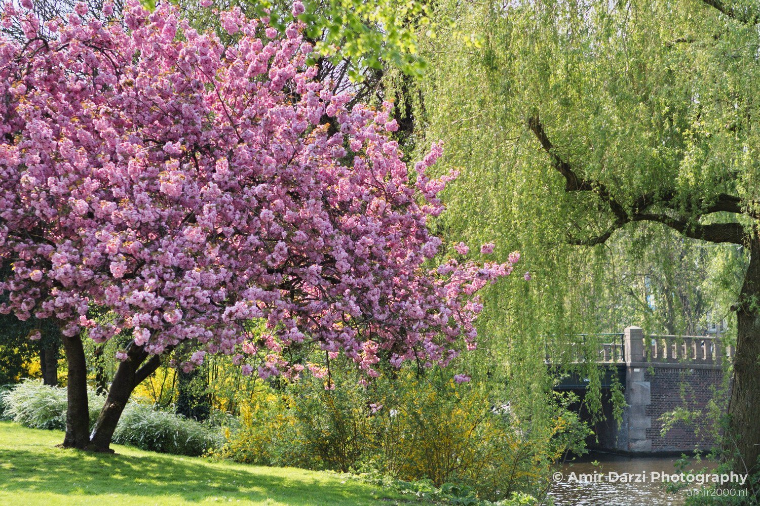 Spring colors nature Landscape in Nature Landscape Photography Photo 2