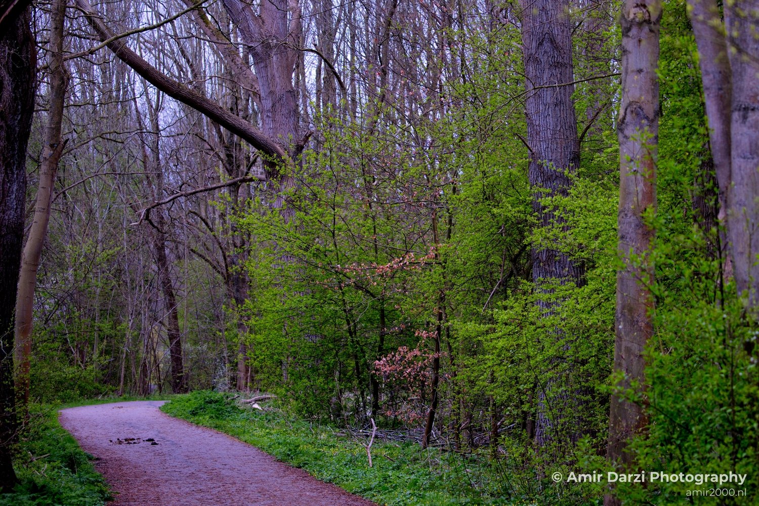 Spring colors nature Landscape in Nature Landscape Photography Photo 3