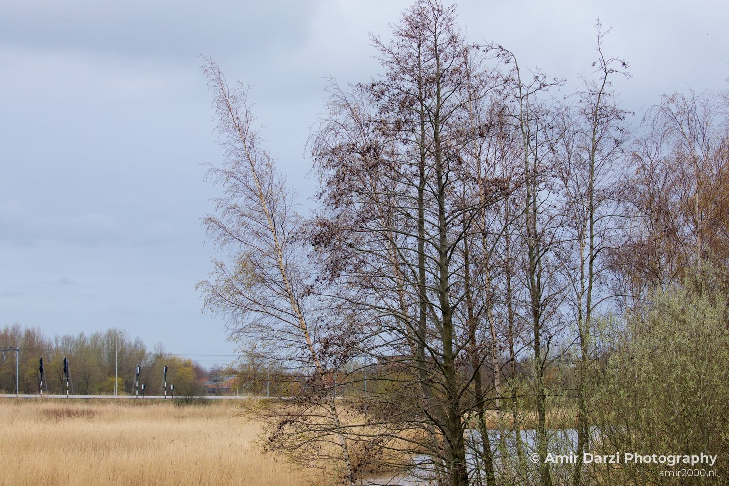 Spring colors nature Landscape in Nature Landscape Photography Photo 10