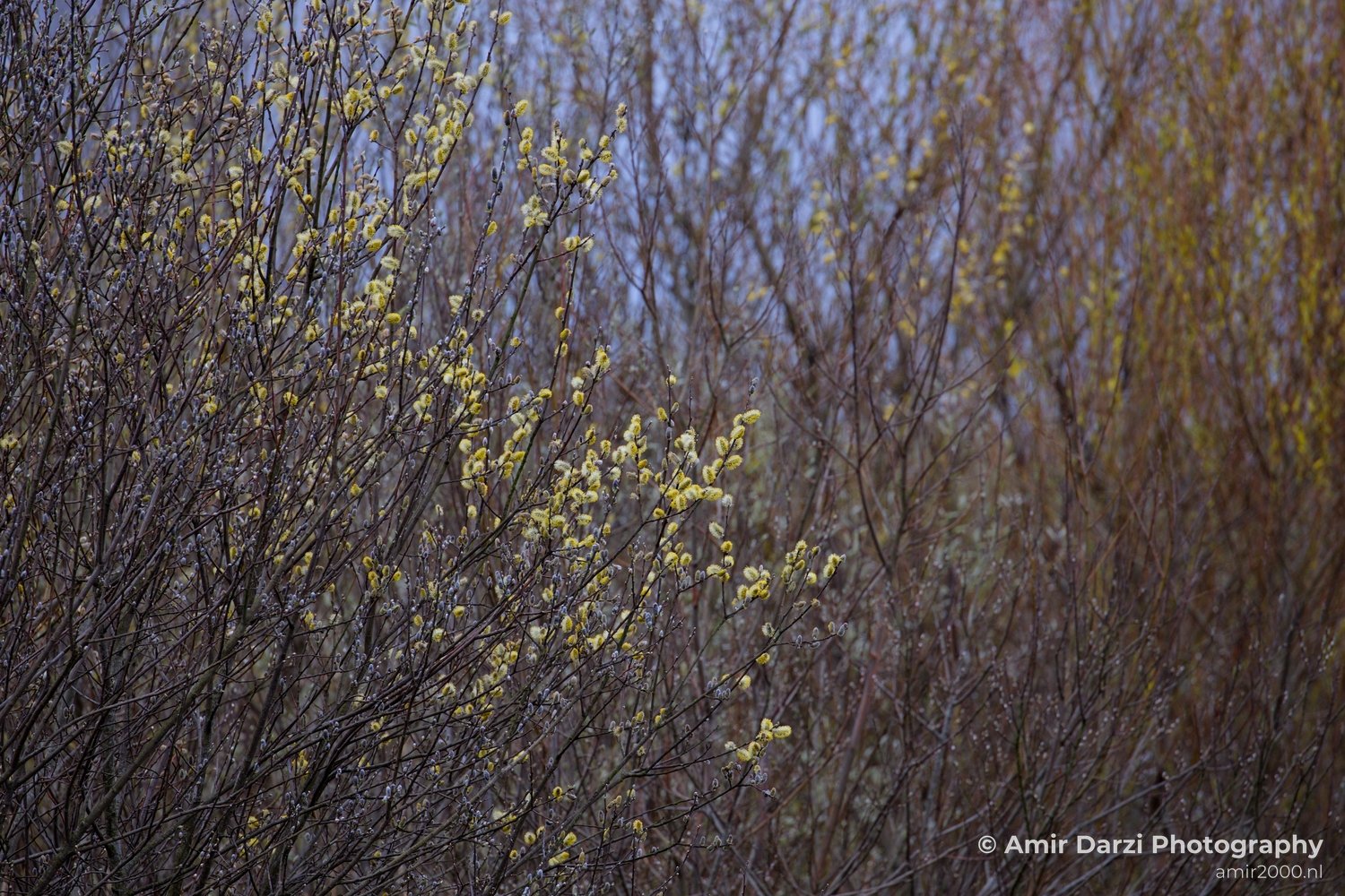 Spring colors nature Landscape in Nature Landscape Photography Photo 12