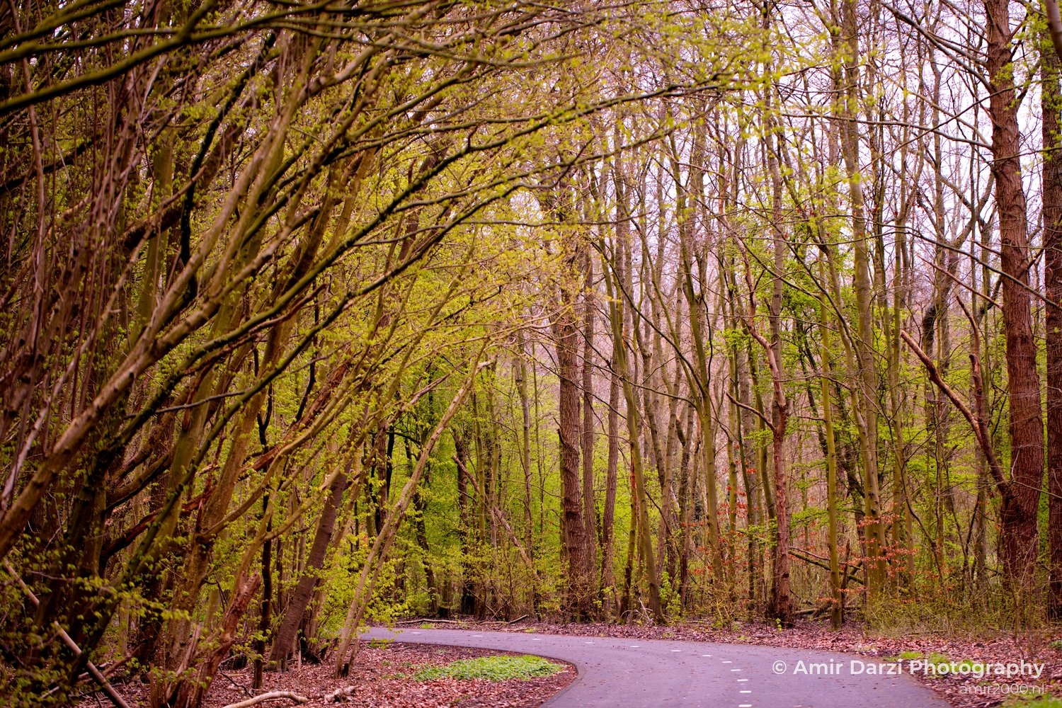 Spring colors nature Landscape in Nature Landscape Photography Photo 13