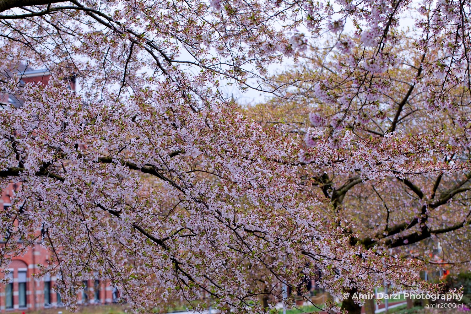 Spring colors nature Landscape in Nature Landscape Photography Photo 15